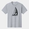 P&C Unisex 4.5oz Fan Favorite Cotton T-Shirt PC450 Thumbnail