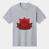 P&C Unisex 4.5oz Fan Favorite Cotton T-Shirt PC450 Thumbnail