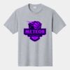 P&C Unisex 4.5oz Fan Favorite Cotton T-Shirt PC450 Thumbnail