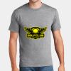 P&C Unisex 4.5oz Fan Favorite Cotton T-Shirt PC450 Thumbnail