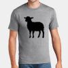 P&C Unisex 4.5oz Fan Favorite Cotton T-Shirt PC450 Thumbnail