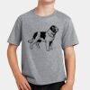 PC Youth Cotton Fan Favorite T-Shirt Thumbnail