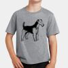 PC Youth Cotton Fan Favorite T-Shirt Thumbnail
