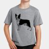 PC Youth Cotton Fan Favorite T-Shirt Thumbnail