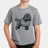 PC Youth Cotton Fan Favorite T-Shirt Thumbnail