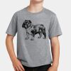PC Youth Cotton Fan Favorite T-Shirt Thumbnail