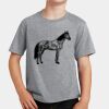 PC Youth Cotton Fan Favorite T-Shirt Thumbnail