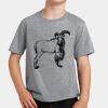 PC Youth Cotton Fan Favorite T-Shirt Thumbnail