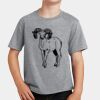 PC Youth Cotton Fan Favorite T-Shirt Thumbnail
