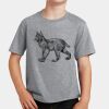 PC Youth Cotton Fan Favorite T-Shirt Thumbnail