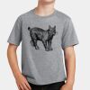 PC Youth Cotton Fan Favorite T-Shirt Thumbnail