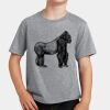 PC Youth Cotton Fan Favorite T-Shirt Thumbnail