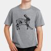 PC Youth Cotton Fan Favorite T-Shirt Thumbnail