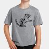 PC Youth Cotton Fan Favorite T-Shirt Thumbnail