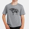 PC Youth Cotton Fan Favorite T-Shirt Thumbnail