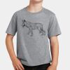 PC Youth Cotton Fan Favorite T-Shirt Thumbnail