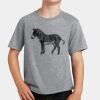 PC Youth Cotton Fan Favorite T-Shirt Thumbnail