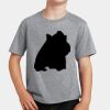 PC Youth Cotton Fan Favorite T-Shirt Thumbnail