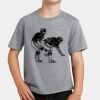 PC Youth Cotton Fan Favorite T-Shirt Thumbnail