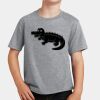 PC Youth Cotton Fan Favorite T-Shirt Thumbnail