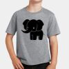 PC Youth Cotton Fan Favorite T-Shirt Thumbnail