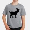 PC Youth Cotton Fan Favorite T-Shirt Thumbnail
