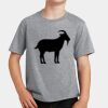 PC Youth Cotton Fan Favorite T-Shirt Thumbnail