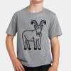 PC Youth Cotton Fan Favorite T-Shirt Thumbnail