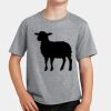PC Youth Cotton Fan Favorite T-Shirt Thumbnail