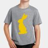 PC Youth Cotton Fan Favorite T-Shirt Thumbnail