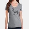 PC Ladies Fan Favorite V-Neck T-Shirt Thumbnail