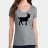PC Ladies Fan Favorite V-Neck T-Shirt Thumbnail
