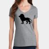PC Ladies Fan Favorite V-Neck T-Shirt Thumbnail