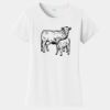 PC Ladies Fan Favorite T-Shirt Thumbnail