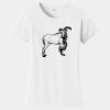 PC Ladies Fan Favorite T-Shirt Thumbnail