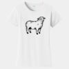 PC Ladies Fan Favorite T-Shirt Thumbnail