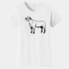 PC Ladies Fan Favorite T-Shirt Thumbnail