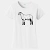 PC Ladies Fan Favorite T-Shirt Thumbnail