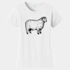 PC Ladies Fan Favorite T-Shirt Thumbnail