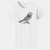 PC Ladies Fan Favorite T-Shirt Thumbnail