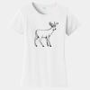 PC Ladies Fan Favorite T-Shirt Thumbnail