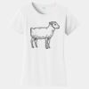 PC Ladies Fan Favorite T-Shirt Thumbnail