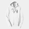 Adult Fan Favorite Hooded Sweatshirt Thumbnail