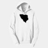 Adult Fan Favorite Hooded Sweatshirt Thumbnail