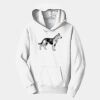 PC Youth Fan Favorite Hooded Sweatshirt Thumbnail