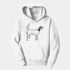 PC Youth Fan Favorite Hooded Sweatshirt Thumbnail
