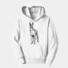 PC Youth Fan Favorite Hooded Sweatshirt Thumbnail