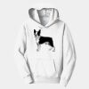 PC Youth Fan Favorite Hooded Sweatshirt Thumbnail