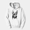 PC Youth Fan Favorite Hooded Sweatshirt Thumbnail