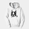 PC Youth Fan Favorite Hooded Sweatshirt Thumbnail
